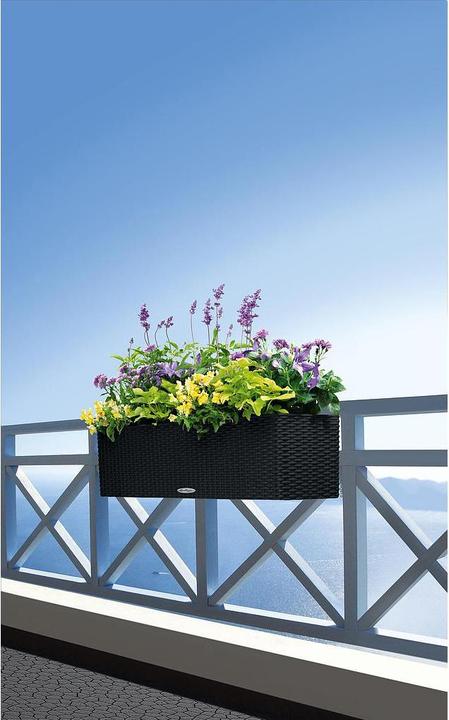 Image du produit Lechuza Balconera Cottage (19 cm)
