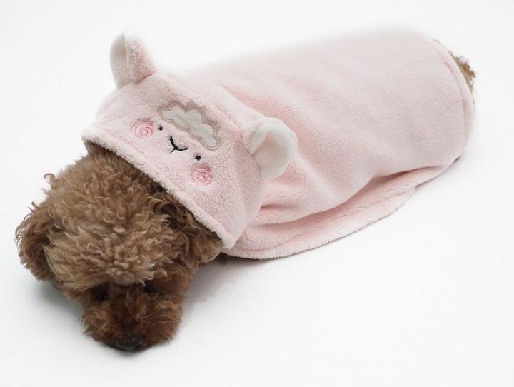 Vêtements pour chien