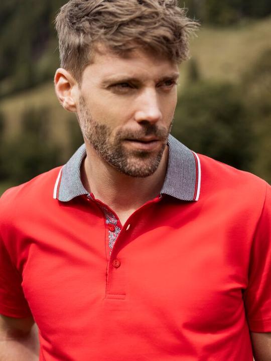 Produktbild ISA Bodywear Schwingerkollektion Poloshirt (XL)
