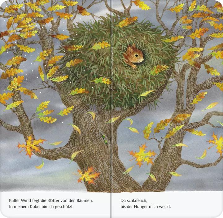 Image du produit Ravensburger Ich bin das kleine Eichhörnchen (Allemand)
