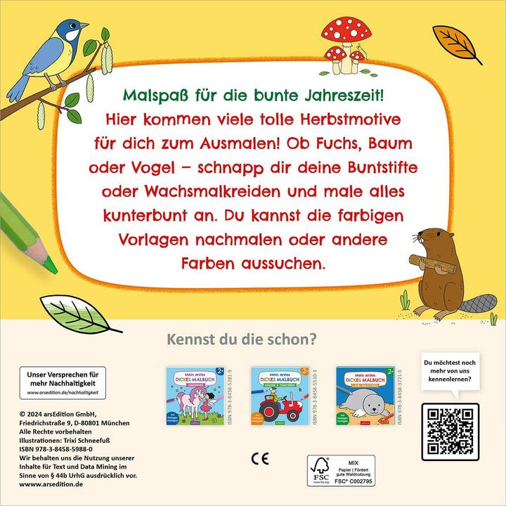 Actual product image My colourful autumn colouring book