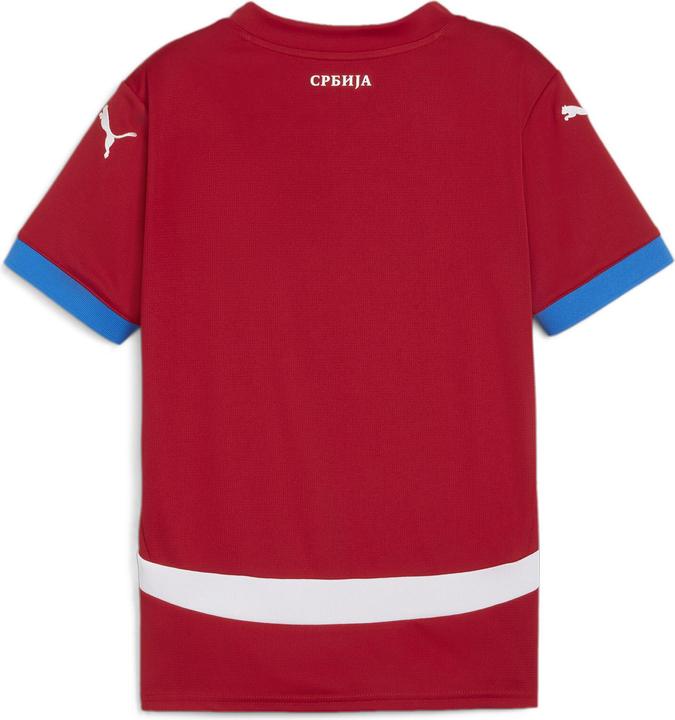 Actual product image Puma FSS Home Jersey Replica Jr (152)