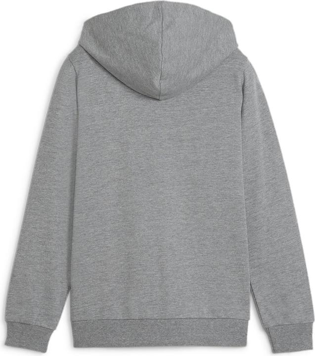 Actual product image Puma teamGOAL Casuals Hooded Jacket Jr (152)