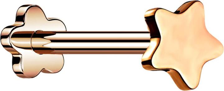 Produktbild Star Piercing Micro Threadless Labret Blume rosegold Stern (Titan G23, ohne Messing)