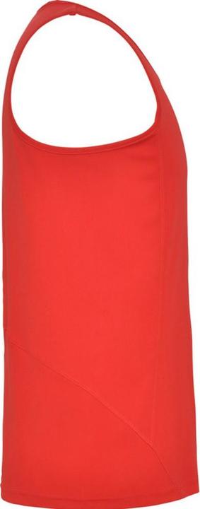 Actual product image Alpinia Mens Andre Sports Vest Top (S)