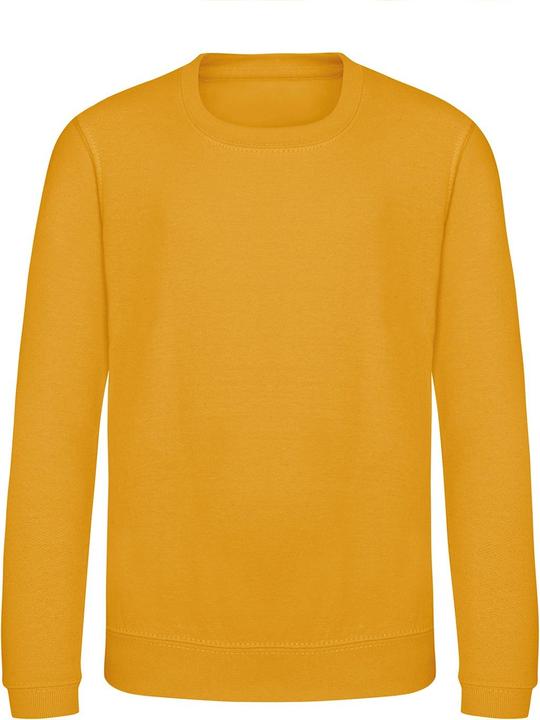 Actual product image Awdis Just Hoods Pullover Sweatshirt Unicoloured (158)