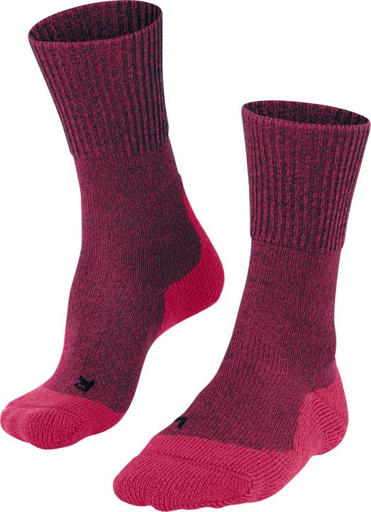 Falke Adventure (35 - 36)
