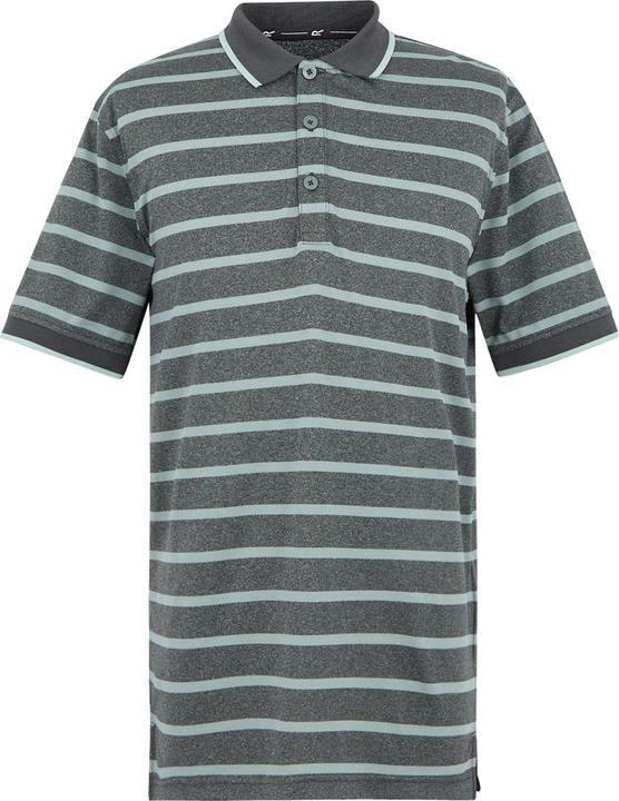 Produktbild Regatta Kildra Poloshirt (M)