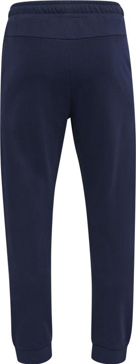 Actual product image hummel Ic Dayton Regular Pants (XXS)