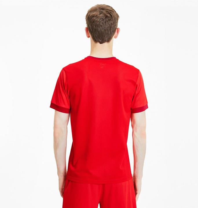 Immagine prodotto Puma teamGOAL 23 Jersey-704171 (S)