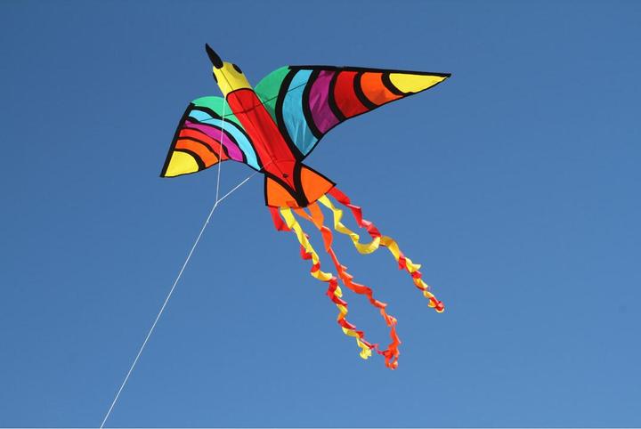 Produktbild Invento Drachen Tropical Bird