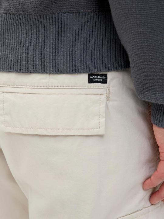 Produktbild Jack & Jones Regular Fit Cargo Shorts Cargo Shorts (XL)