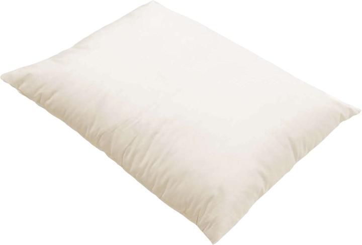 Produktbild Erzstef Dinkelspelz Kissen (40 x 60 cm)