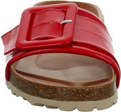 Actual product image Verbenas Reiko (41)