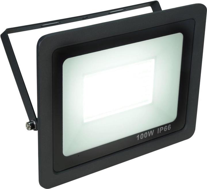 Image du produit Eurolite LED IP FL-100 SMD CW (LED)