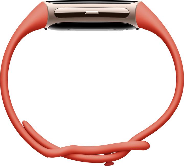 Image du produit Fitbit Charge 6 (36.73 mm)
