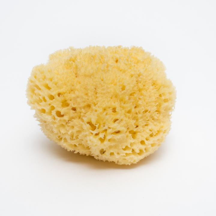 Produktbild Bellini Meeresschwamm medium