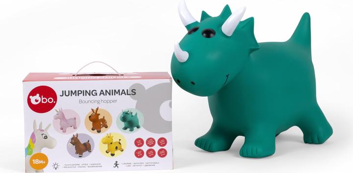 Actual product image bo. Dinosaur Jumper