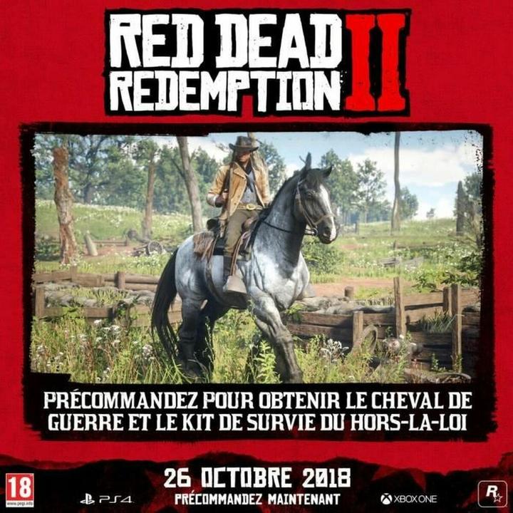 Immagine prodotto 2K Games Red Dead Redemption 2 (PS4, FR)
