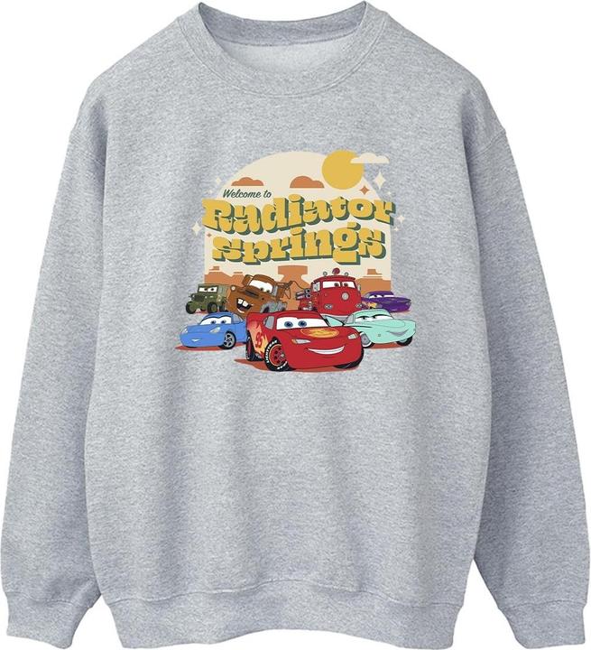 Disney Cars Radiator Springs Group Sweatshirt (XL)