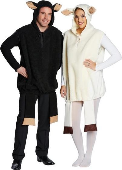 Rubies White sheep