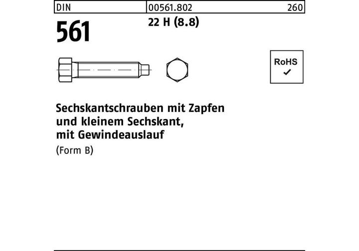 Immagine prodotto Vite a testa esagonale DIN 561 con codolo BM 8 x 35 22 H (8.8) (100 Viti per pezzo)