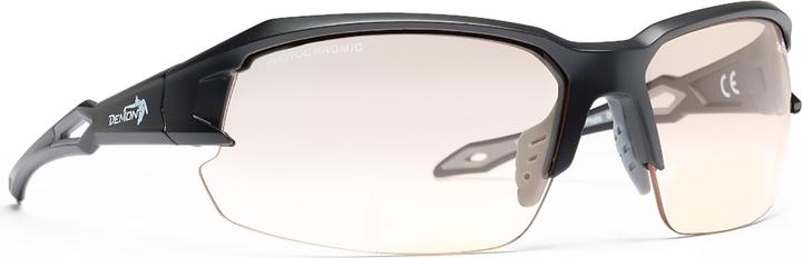 Produktbild Demon Tiger Photochromic (Matt Black Grey-Smoke, Matt Black Grey-Smoke)