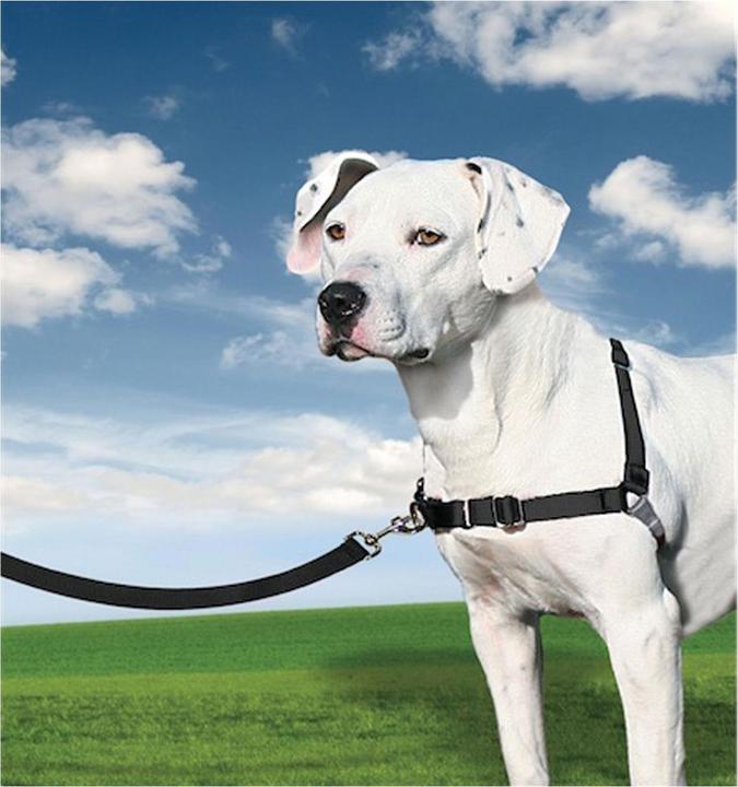 Produktbild PetSafe Easy Walk (M, Hund, Spazieren)