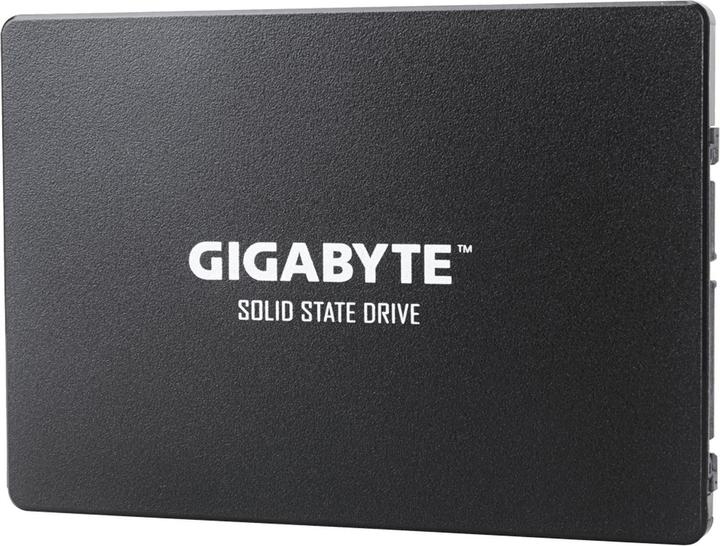 Actual product image Gigabyte GP-GSTFS31100TNTD (1000 GB, 2.5")