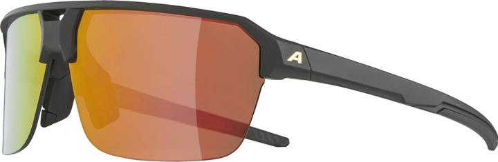 Actual product image ALPINA SPORTS Swift HR (Matt black, Gold)