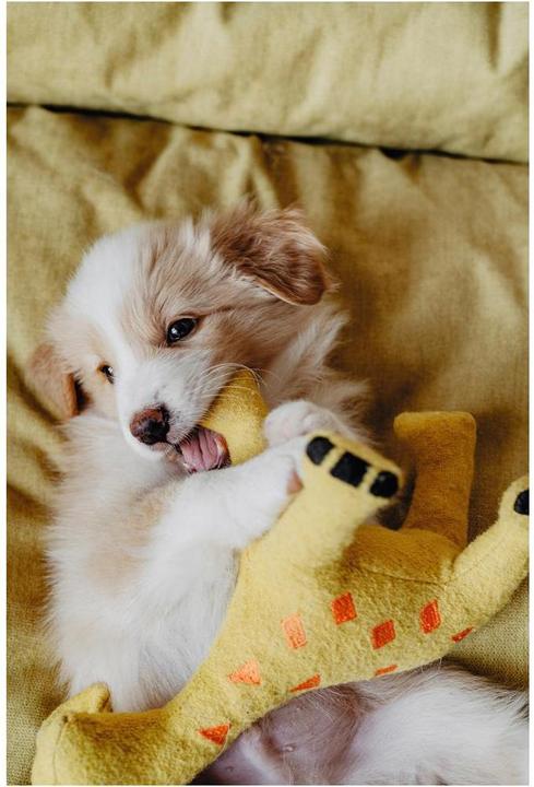 Immagine prodotto Hunter Giocattolo per cani Eiby Giraffe (Cane di peluche)