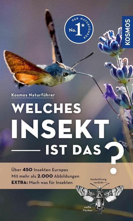 Kosmos Welches Insekt ist das? (German, Heiko Bellman, 2024)