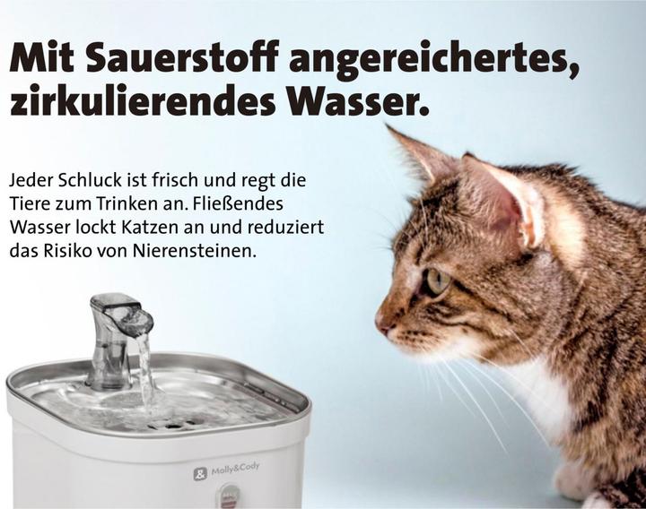 Image du produit Molly&Cody Trinkbrunnen (2 l)