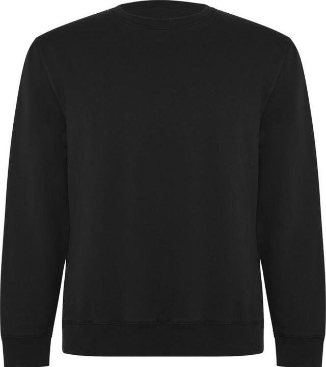 Alpinia Batian Sweatshirt Rundhalsausschnitt (3XL)