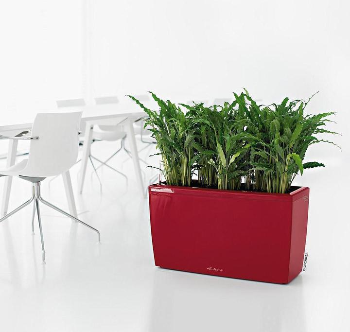 Actual product image Lechuza Cararo (30 cm)