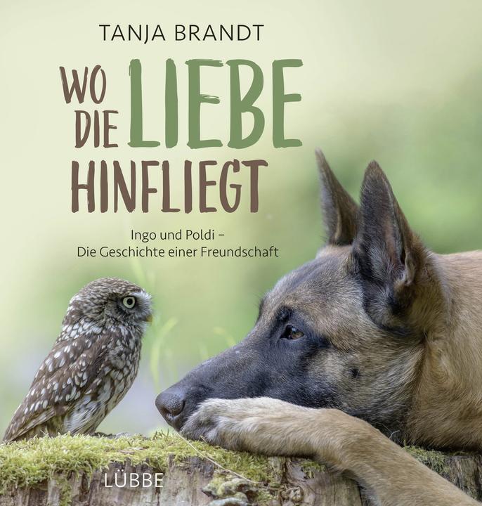 Image du produit Wo die Liebe hinfliegt (Allemand, Tanja Brandt, 2016)
