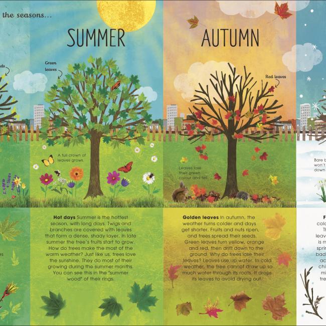 Immagine prodotto RHS The Magic and Mystery of Trees (Inglese, Jen Green, Claire McElfatrick, 2019)