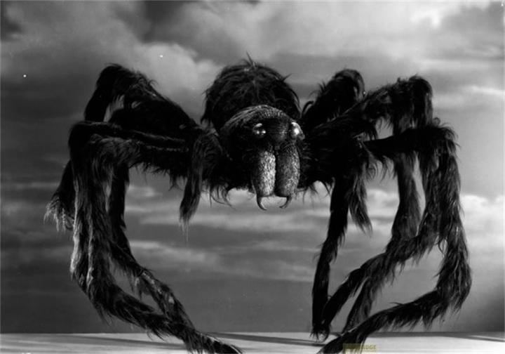 Image du produit Plaion Tarantula (Blu-ray, 2014, Allemand)
