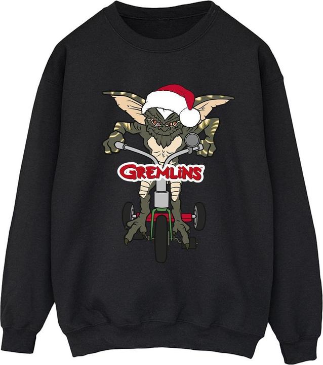 Image du produit Universal Textiles - Sweat BIKE LOGO - Femme (S)