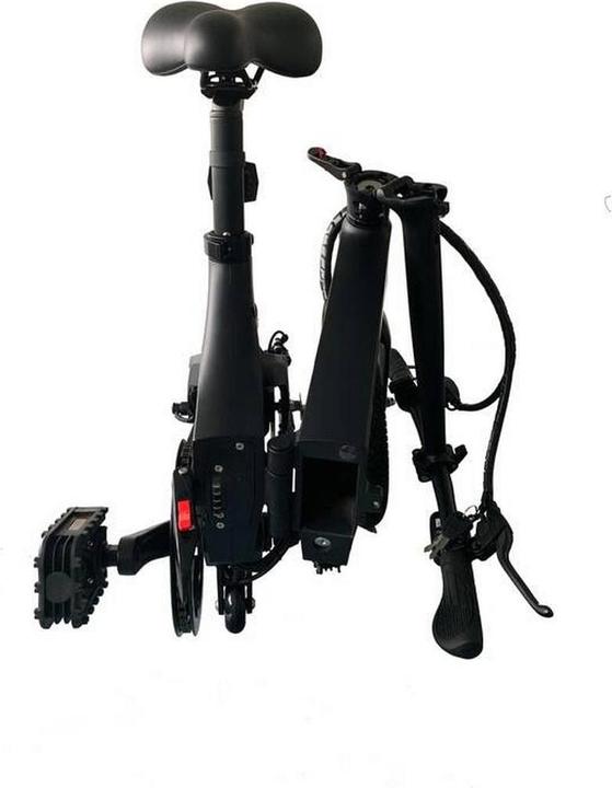Image du produit Ocean Drive Ora (20 cm)