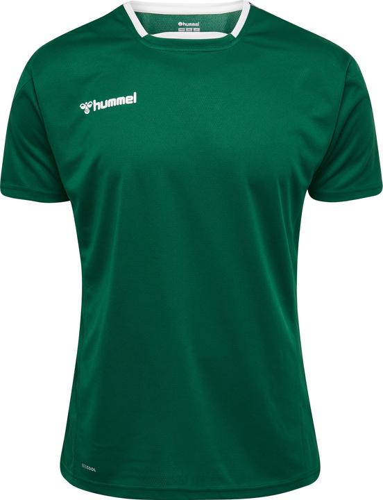 Image du produit hummel Authentic Kids Poly Jersey S/S (176)