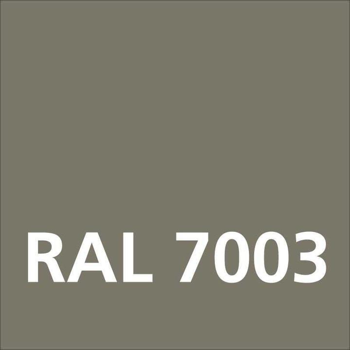 Immagine prodotto Dupli-Color Lacca acrilica lucida RAL 7003 grigio muschio (Grigio muschio, 0.40 l)