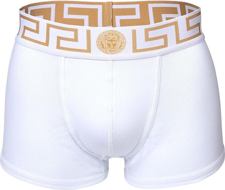 Actual product image Versace Underpants Tri-Pack Trunk Jersey Topeka Bi-Stretch Cotton Organic New Logo (XXL, pack of 3)