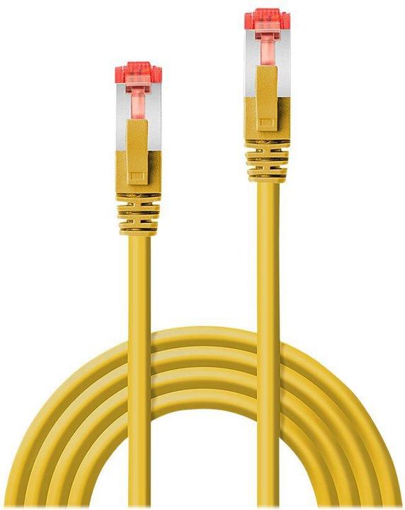 Image du produit Lindy Câble réseau (S/FTP, CAT6, 30 m)