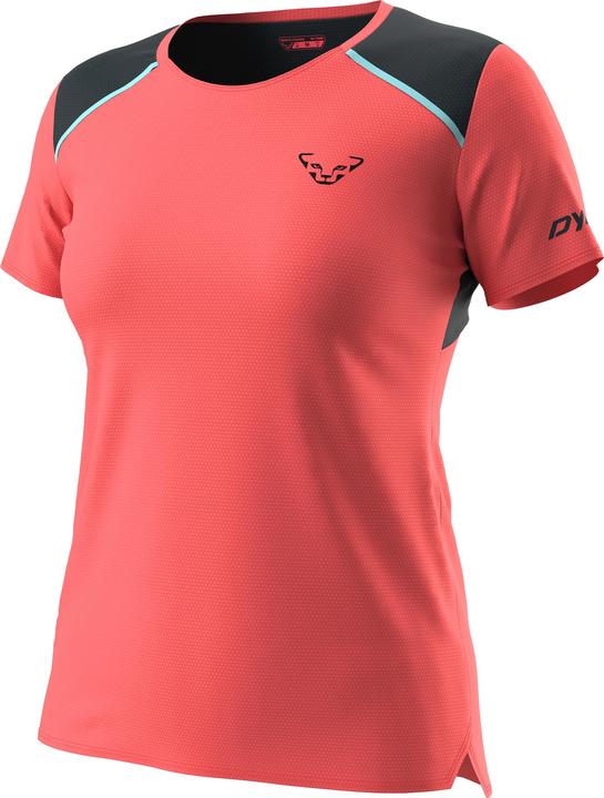 Corail chaud