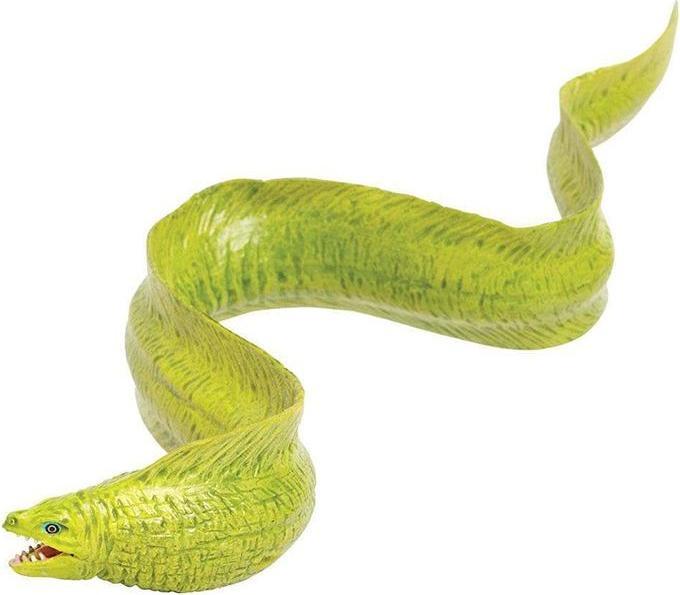 Actual product image Safari Green moray