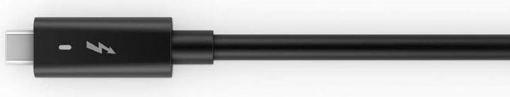 Actual product image Dell WB19TB (Thunderbolt, 12 Ports)