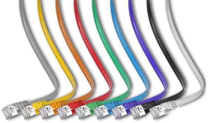 Image du produit Wirewin Câble de réseau (STP, CAT6, 1 m)