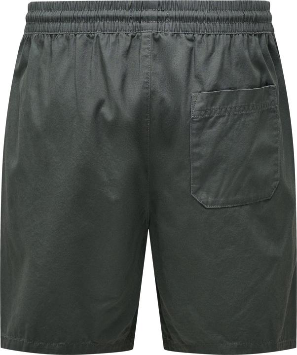 Image du produit Only & Sons Coupe normale Short Short (S)