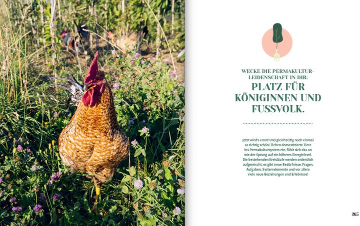 Actual product image Permakultur - Dein Garten. Deine Revolution (German, Sigrid Drage, 2021)